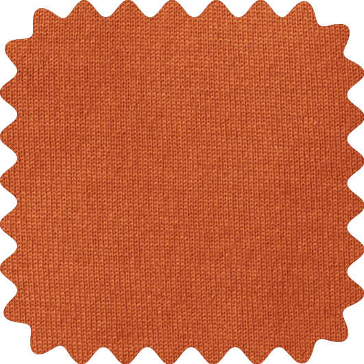 Orange Colour Analysis Palette